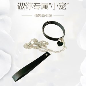 性感皮质小仙女爱心颈环桃心项圈调教女佣牵引绳链子 - 图片 2